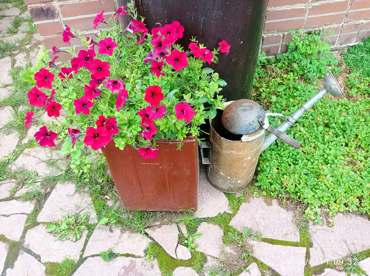 после стрижки