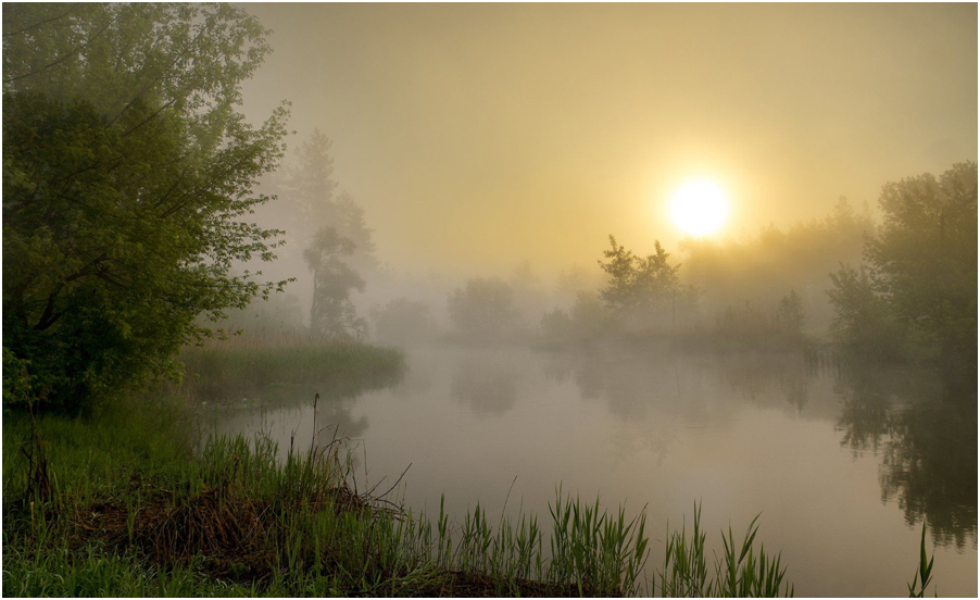 скриншот сделан автором канала