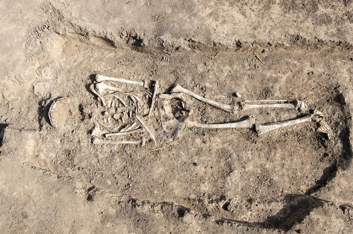 Останки, найденные в Челаковицах. Автор: Krumphanzlová, Z.