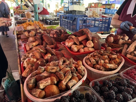   Фото: Амур.инфо