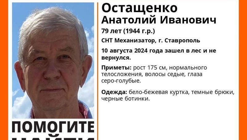      Фото: ПСО «ЛизаАлерт»
