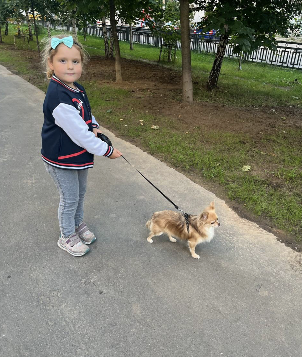 Самостоятельный ребенок ведет собачку.