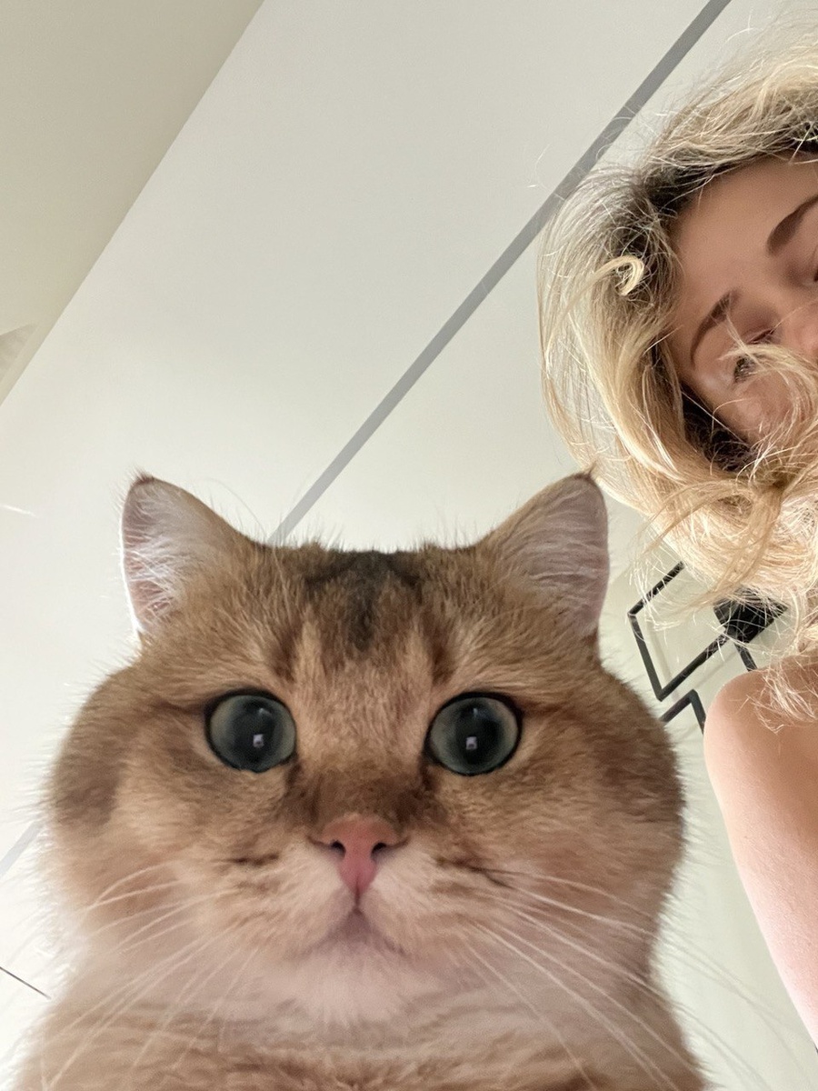 На фото: ведущая прогноза погоды на канале ТВЦ Анастасия Ларионова с ближайшим родственником манула   