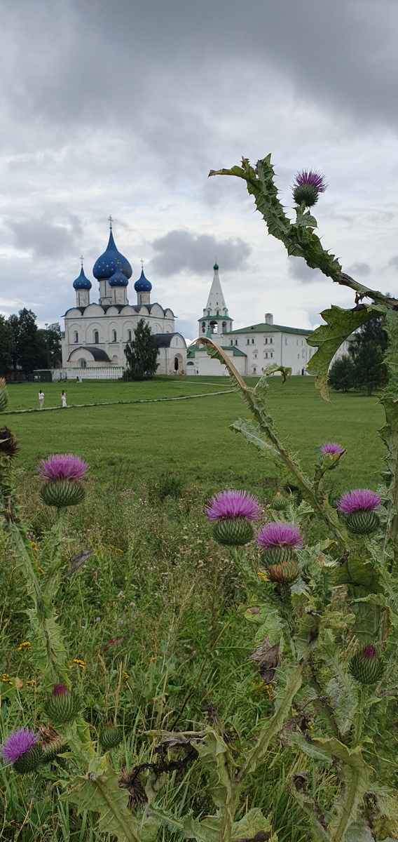  Суздальский Кремль. Фото автора.