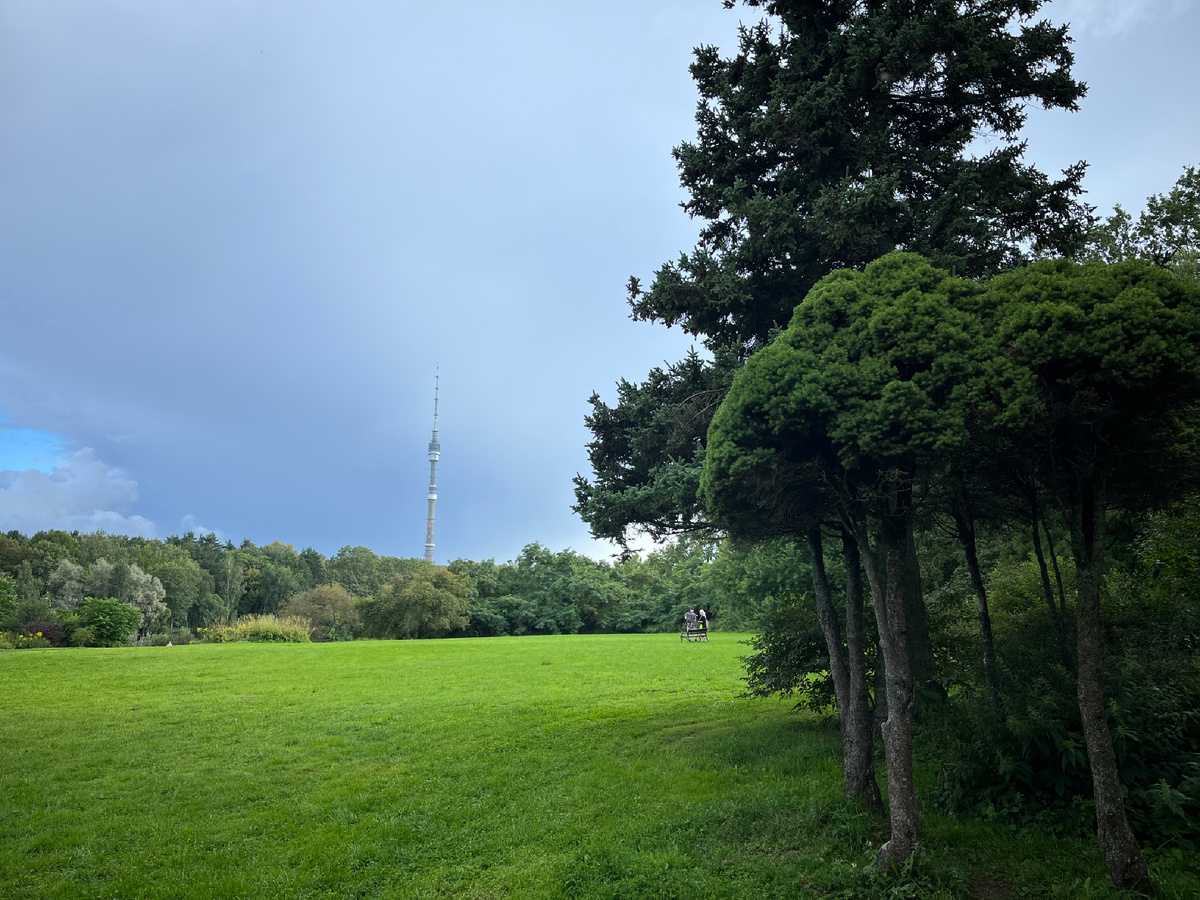 На территории главного ботанического сада в Москве. Фото моё.
