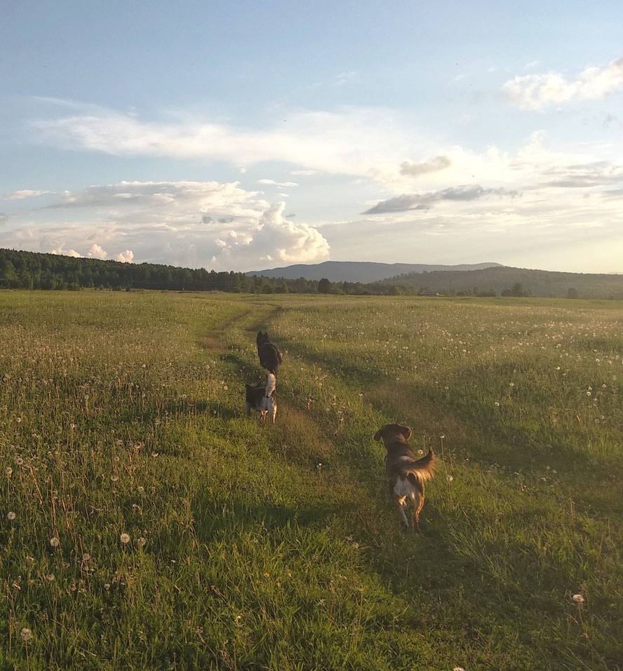 бывшая улица, которую называли кочерга