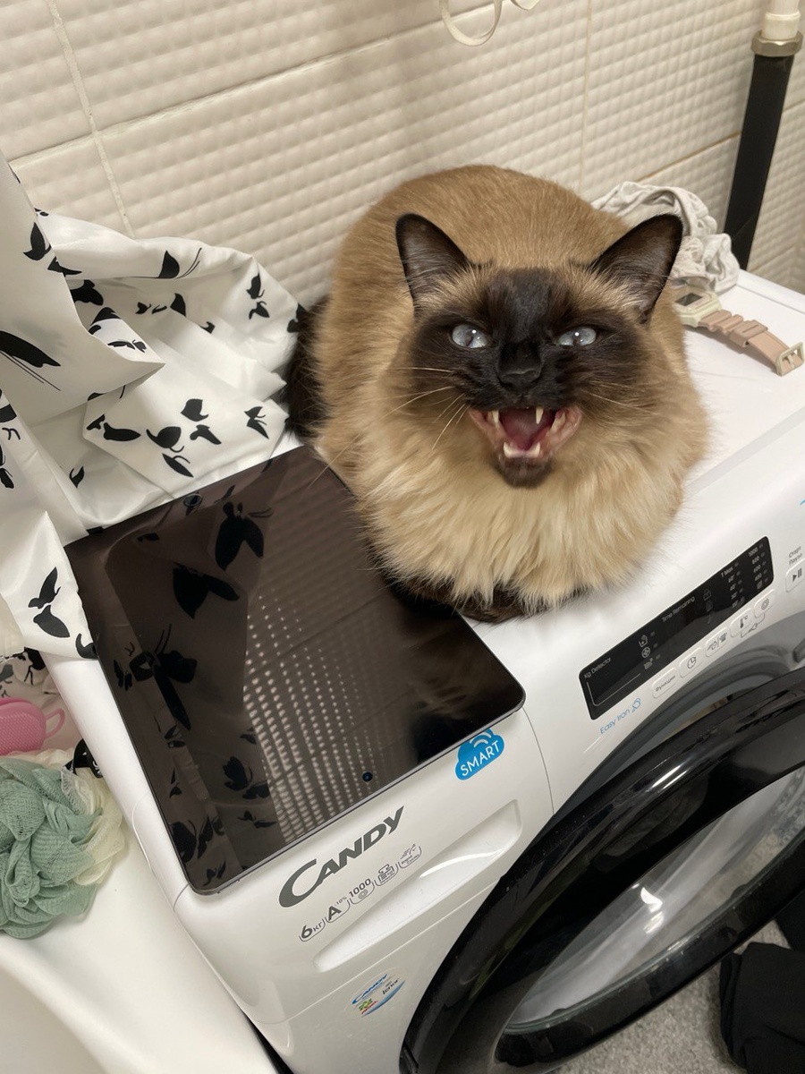 Не поеду к врачу, даже не уговаривай