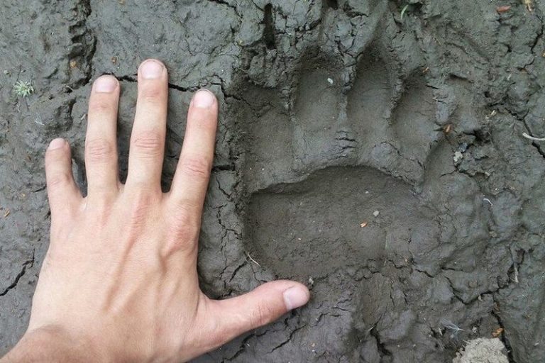    Фото: Министерство экологии и природопользования Московской области Анастасия Давыдова