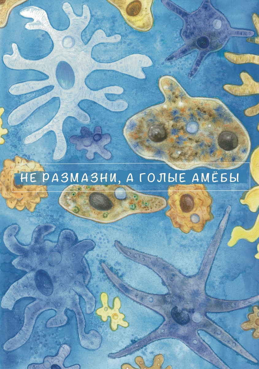 Обложка первой тетради 