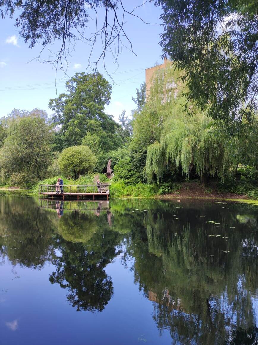 Вставлю свои размышления, что случается если выбираешь свой путь через прохождения длительной личной психотерапии. Во-первых, возможно, я кого-то отпугну сразу. Я прожила свои 33 горевания и это не фигура речи.
Во-вторых встретилась, уже сбилась со счёта, сколько-то там тысяч разочарований, столкнувшись со своими ограничениями.
И это тоже не просто. Схожие чувства с гореванием. Только в роли усопшего родственника оказывается собственная субличность, часто не реалистичная.
Вы думали, что вы такая или такой, оказывается, ложное предположение.
   Ну или это не вся ваша личность, лишь малая часть.

Сначала эти открытия отрицаются, долгие торги и злость пополам с депрессией и приходит принятие. Часто с оглядкой и надеждой, вдруг этот «такой идеальный и совершенный» придёт и будет мне счастье.
Быть честной с собой, не врать тот ещё процесс. Если начинаешь юлить, внутренний голос зазвучит громче, напоминая порой режиссёра Станиславского: «Не верю» и становится не ловко, хочется спрятаться от такого тотального саморазоблачения.
Вот только от себя не убежишь. Тут главное успеть переключиться на доброжелательный взгляд к себе: «Ну да бывает, у каждого случаются ошибки восприятия реальности».

Я тут вывела для себя неожиданный рецепт, как выйти из депрессивного состояния. После всего отгорёванного иногда меня охватывает печаль. Но это не то погружение, что было когда-то.
Долго меня злила фраза: «Страдание — это выбор». Мне хотелось спорить, доказывать, что страдание не выбирают.
 Выбирают, хотя порой и не осознанно, не беря ответственность за свой выбор.
Как, впрочем, и за последствие собственных решений.

В-третьих, я стала гораздо ближе к своим близким.
   Но становясь ближе я могу быть более уязвимой и легче пораниться или поранить других.
  Приходиться находить этот баланс отдельности, совместности и взаимозависимости.

И ещё, главный и совершенно неокончательный итог терапии. Я становлюсь собой.
И тут много удивлений и открытий чудных. Понять на шестом десятке жизни, что я не разу не экстраверт. И говорить, как дышать, это не моя история.
Вот писать и дышать, это да, без этого я не могу существовать.
Но вот говорить и дышать, это навязанная мне история.
Мне нравится моё молчание, прислушиваюсь, что находится у меня внутри. Понимаю, что не узнаю всё про себя до конца жизни.
Я учусь опираться на свои способности и таланты.
Учусь принимать и присваивать свои дела и достижения. Всё, что я сделала в единицу времени, с теми возможностями, что были у меня здесь и сейчас, этого достаточно. И меня удовлетворило.
Без нарциссической короны, без которой бывает порой зябко голове😊, зато спокойно и не мучает шейный остеохондроз.
И то, что я всё больше становлюсь собой, успокаивает меня и примеряет со  страхом смерти. С которым мы рождаемся. Конечно, мы не ощущаем его каждую минуту, но он у нас есть. У кого-то тщательно скрыт в бессознательном. И не знание о нём не разу не освобождает от ответственности за жизнь.

Приходит осознавание, что вот если вдруг сейчас меня не станет, я сделала всё, что могла за конкретный отрезок жизни, что был у меня до этой последней минуты. И это даёт свободу.
И можно просто быть.
Бывают и регрессы, как говорит одна моя клиентка до «базовых настроек», до той самой детской части, что боится и беззащитна и беспомощна. 
В метафоре это смотрится так: шёл-шёл, в ямку провалился, споткнулся, вылез и пошёл дальше.

 Вот это ощущение, что я живу свою жизнь в своём собственном теле. 
Оно очень опорное, даёт силы на творчество и на встречи, несмотря на мою глубинную интровертную природу.
Я люблю людей, люблю общаться и это совсем не противоречит моему одиночеству. Я люблю строить отношения и узнавать новых людей и сближаться со старыми знакомыми.
Нашла этому объяснение, я- социальный интроверт.
Главное соблюдать дозировку и находить время для уединения.
Это моё открытие, что я восстанавливаюсь в одиночестве.
Как сказала юнгианский аналитик Лаврова О.: »Качественные отношения с другими людьми подтверждают статус моего существования».
Но если других рядом нет, я не исчезаю, всё моё остаётся со мной.
Я глубже погружаюсь в свои части и процессы. 
Психотерапия открыла такой ящик Пандоры, так и хотелось написать «нежелательных» элементов, но это не так.
Они оказались очень даже необходимыми: агрессия, гнев, злость, недовольство, раздражение, брезгливость, там большой список.
Но в каждую единицу времени я выбираю, выпускать их на волю или оставлять внутри и мягче реагировать на моё окружение.
 Индивидуально решаю, какой мне быть с другими. Этот выбор чаще всего происходит мгновенно, и я присваиваю его и больше опираюсь на себя и свою жизнь.
 Конечно, я описала далеко не всё, что произошло со мной за почти пятнадцать лет личной терапии, ну так жизнь ещё продолжается. И вопреки установкам, с каждым годом она нравится мне всё больше.
