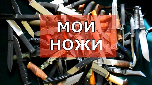 Мои ножи!