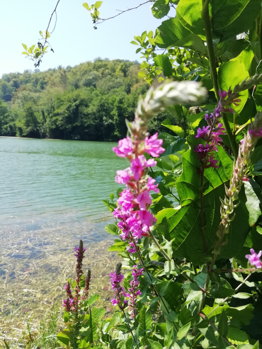 Барановское озеро 