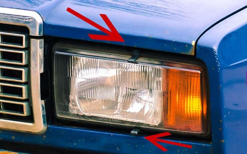    «Усики», «лапки», «рожки» – как только их не называли. Но никто не мог объяснить, для чего они были нужны.