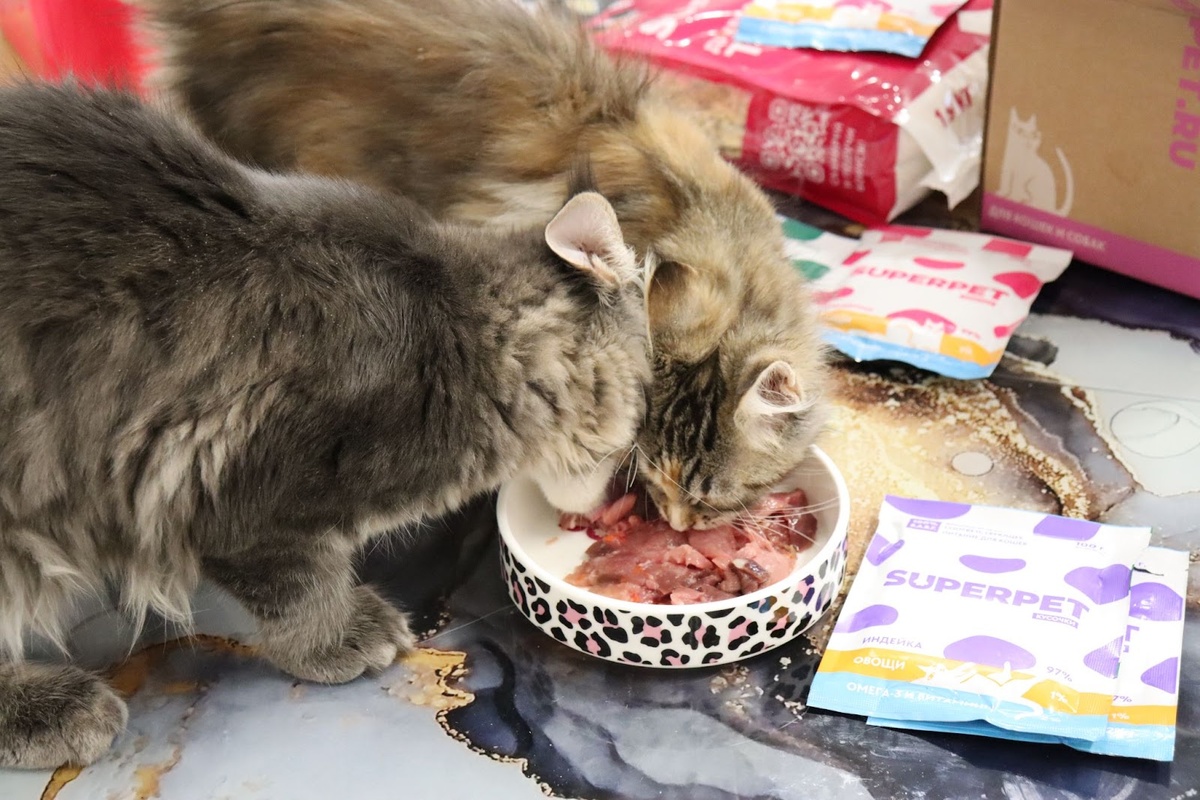 Фото из личного архива.