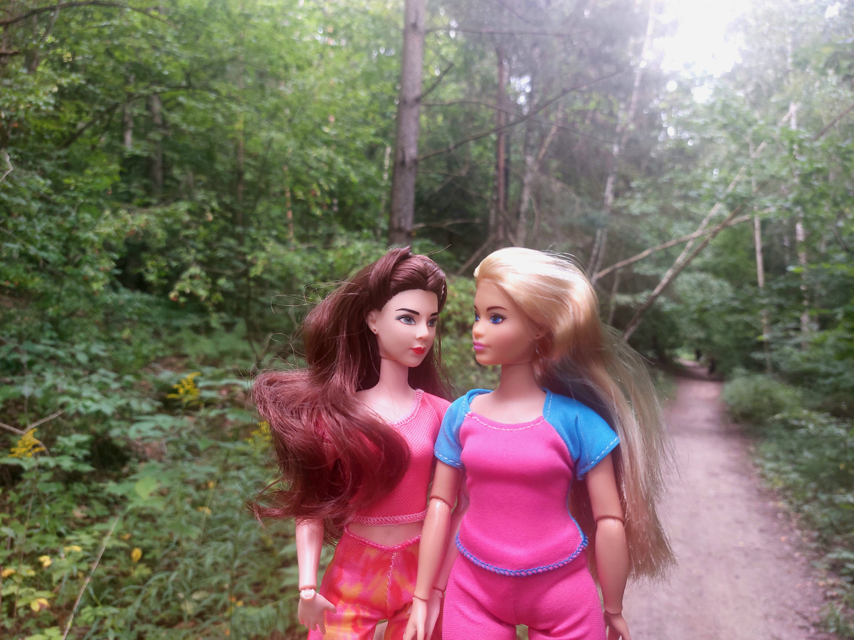 Тропа с д. Каменка до натурплощадки Беларусьфильма