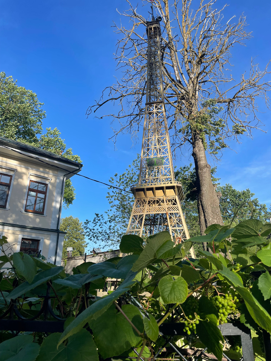 Псков «Париж во дворе»