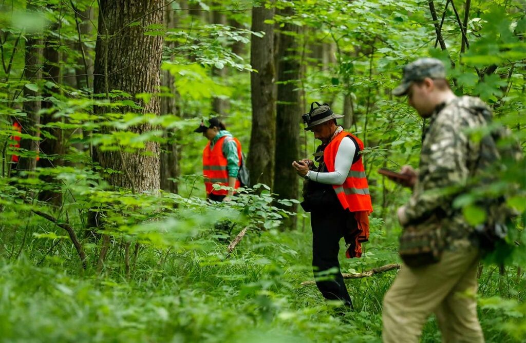Добровольцы ПО «Лиза Алерт» во время поисково-спасательных работ (ПСР) в деревне Бородино Подольского района. Фото: Артем Геодакян/ТАСС, 18.09.2017