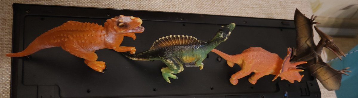 Интерес к разным видам одного рода — распространенное явление у аутистов. Один мой сын интересовался динозаврами и танками, другой — семейным древом и марками автопрома. Фото моё