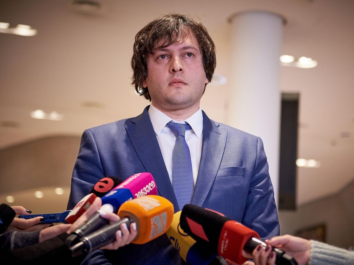    Председатель парламента Грузии Ираклий Кобахидзе© Sputnik / Александр Имедашвили