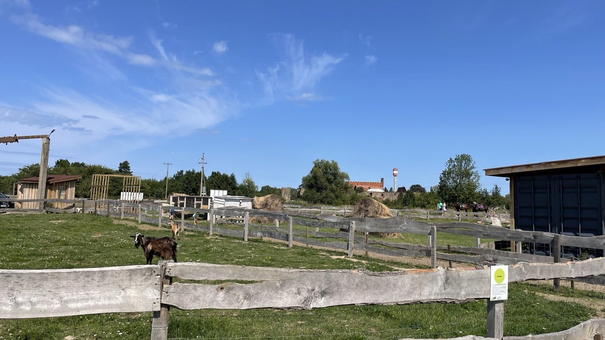 АгроПарк Некрасово поле.