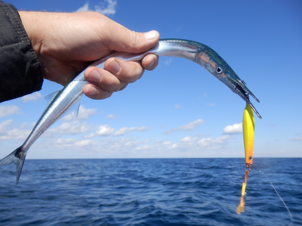 Фото с сайта: https://activefisher.net