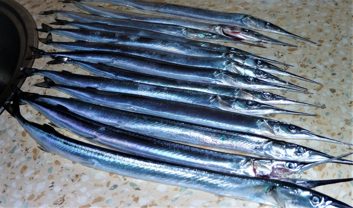 Фото с сайта: https://pofoto.club/uploads/posts