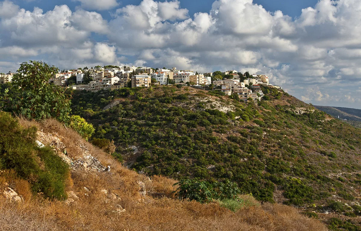 На склонах горы Кармель