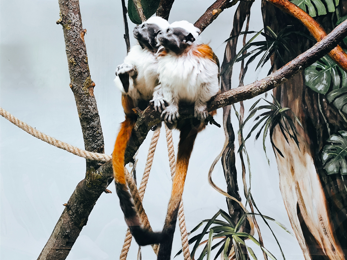 Все фото автора 