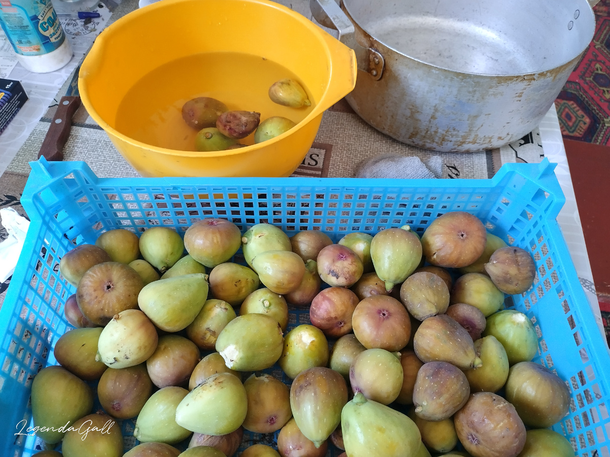 Инжира ящичек