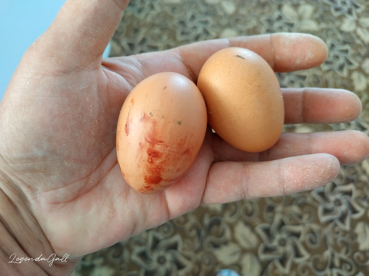 Порвалась, бедненькая... Но начало положено!