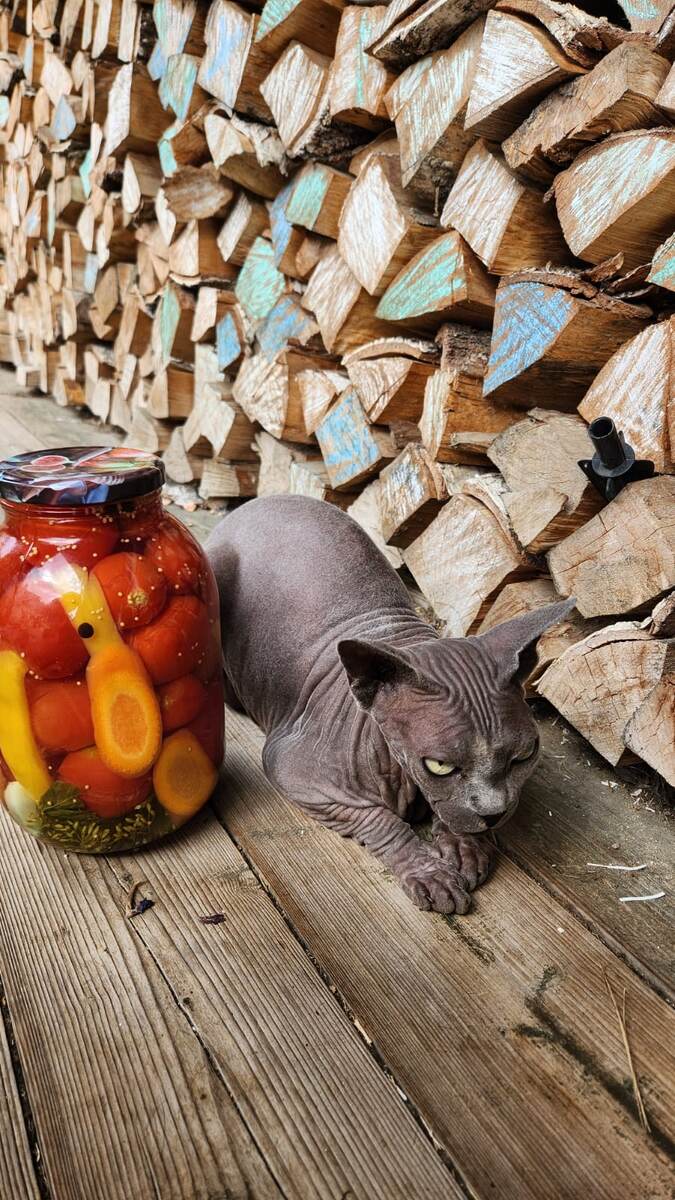 Тоже  мне тайна вкладов, все видно..