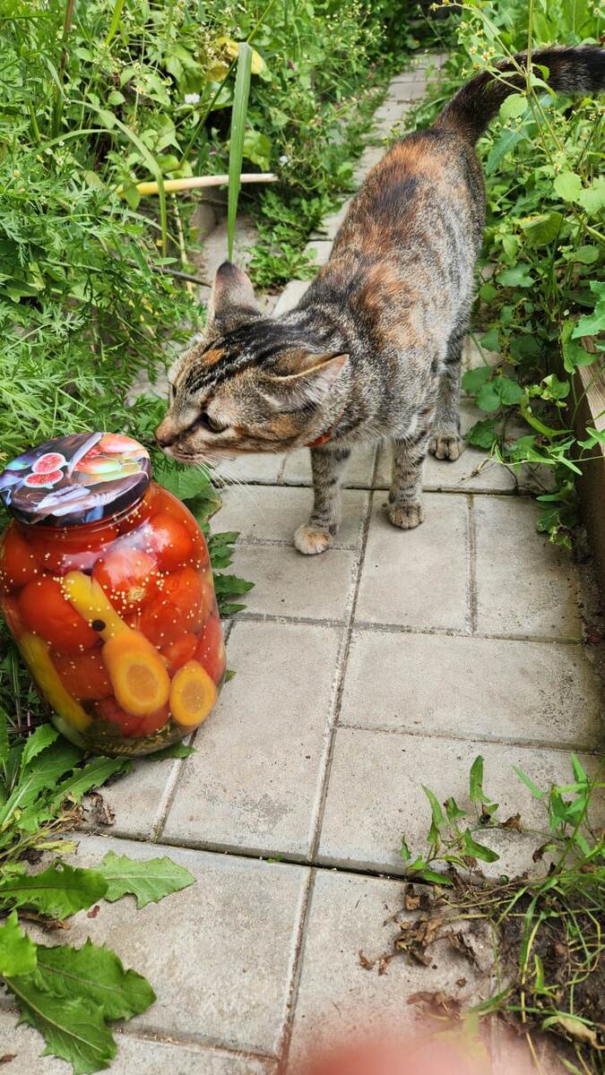 Зря только банку заняла. Отдали бы мне , я там свой капитал держала.. У меня Кошбанк. Нуждается в имуществе., обеспечу тайну вкладов. 
