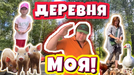 ДЕРЕВНЯ МОЯ КОЩИНО