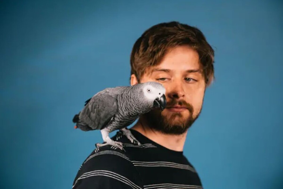   Далтон Мейсон и Аполло