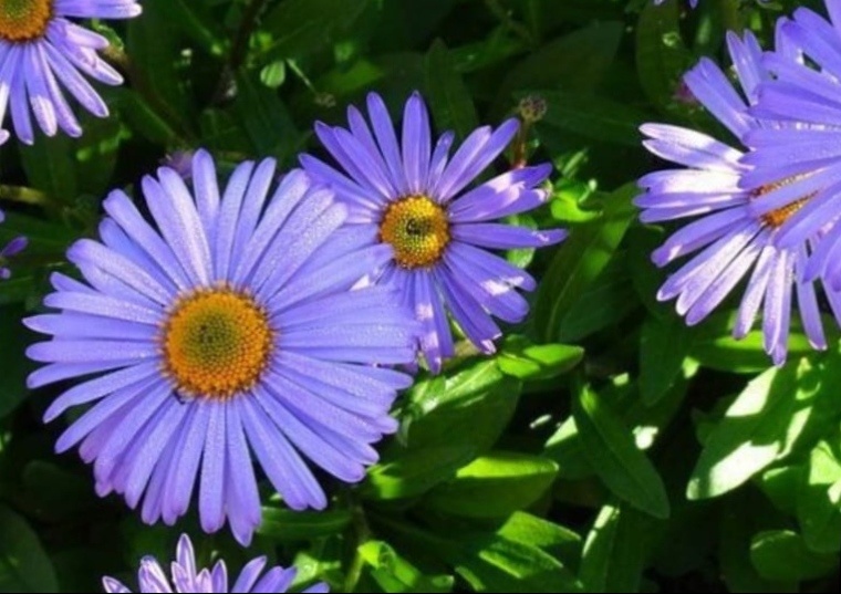 Как жаль что лето заканчивается.... 