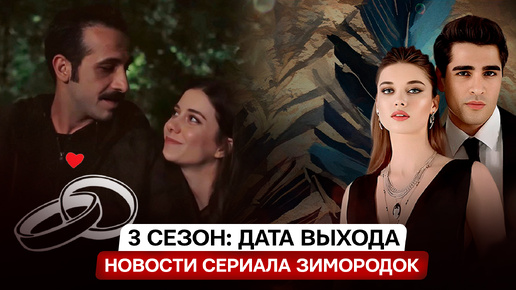 ДАТА ВЫХОДА 3 СЕЗОН! Турецкий сериал Зимородок неожиданные свадебные новости