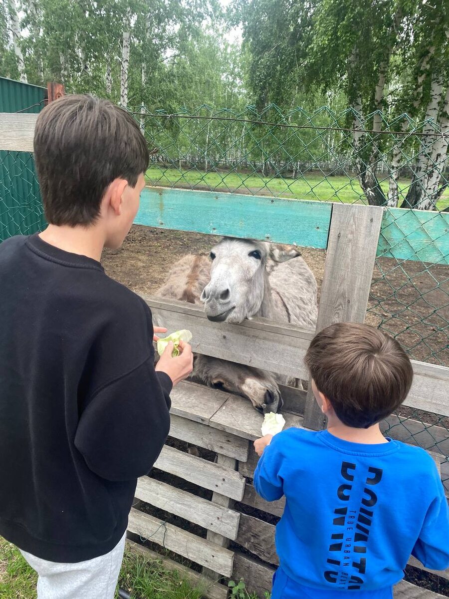 Детям общение с животными приносит много позитивных эмоций. 