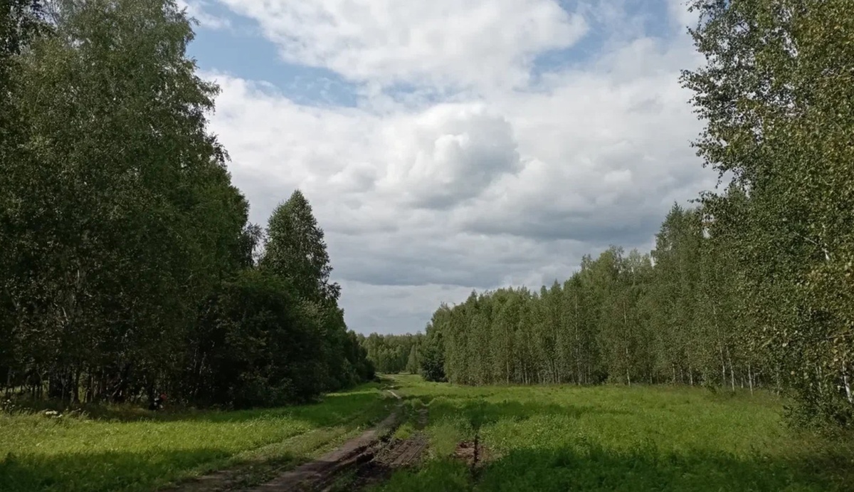 День 11 августа - "Про доходы, или Обратная сторона гриба"