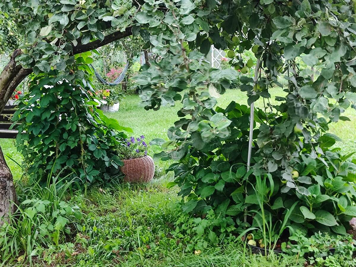 Дождя не видно, но он там есть(((