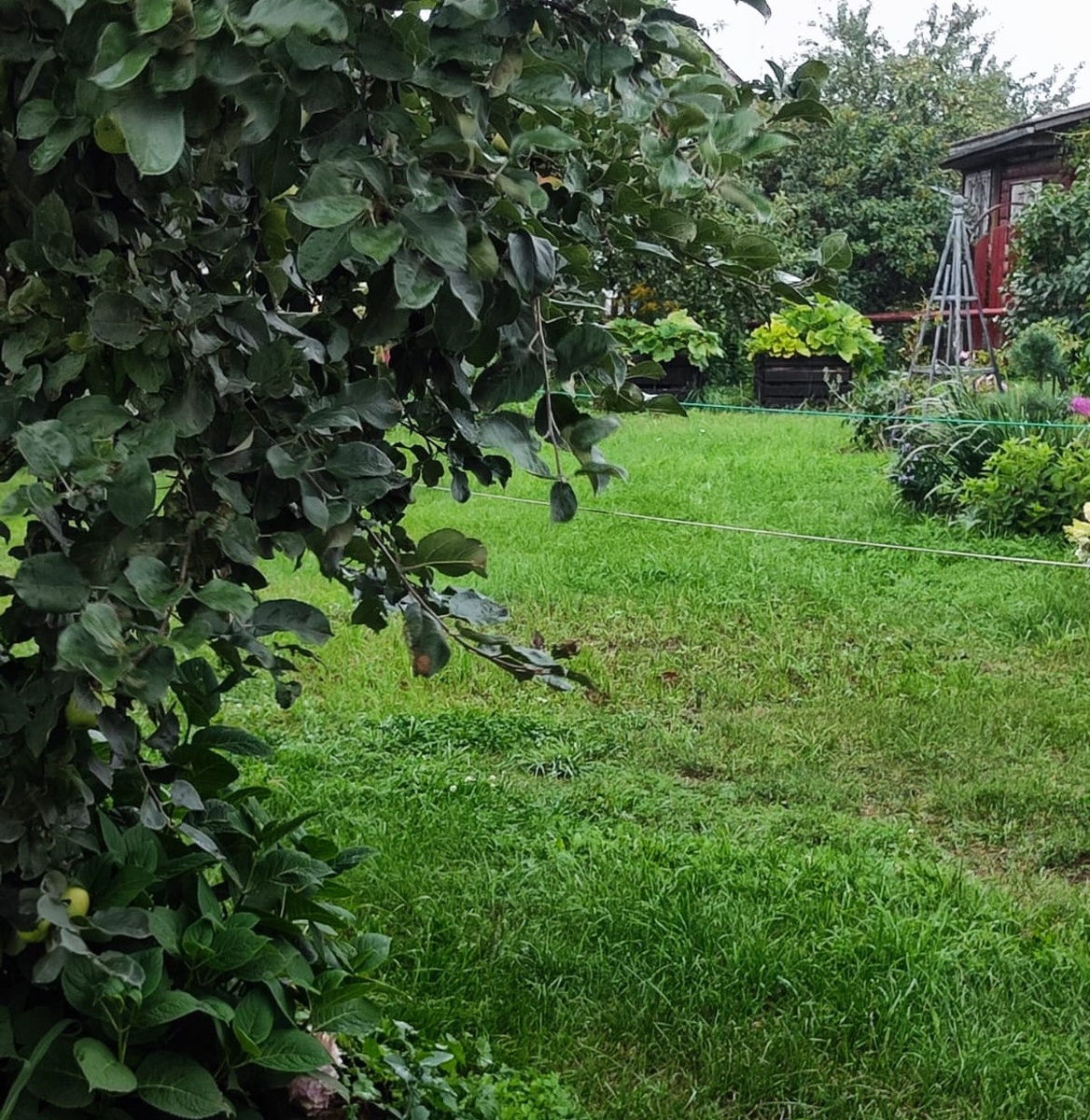 Вон там вдали в кубах кабачки колосятся))