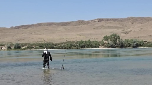 МОЯ ОДИНОЧНАЯ РЫБАЛКА НА РЕКЕ. MY SINGLE RIVER FISHING.