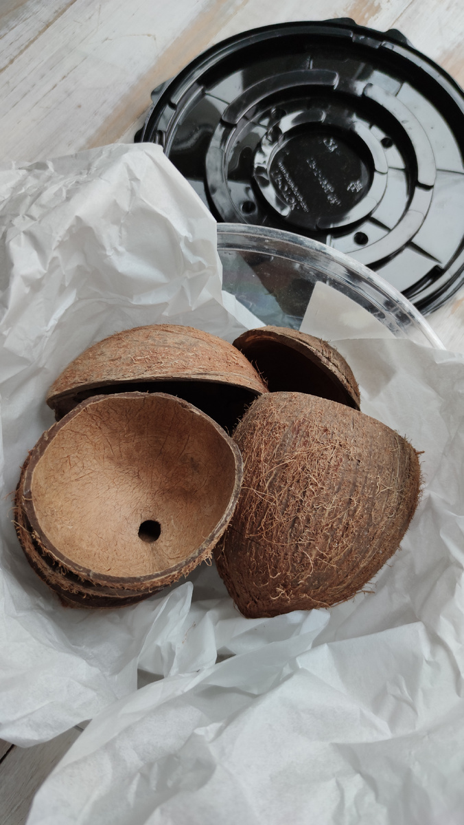 Коробка от торта и упаковочная бумага также улетели 