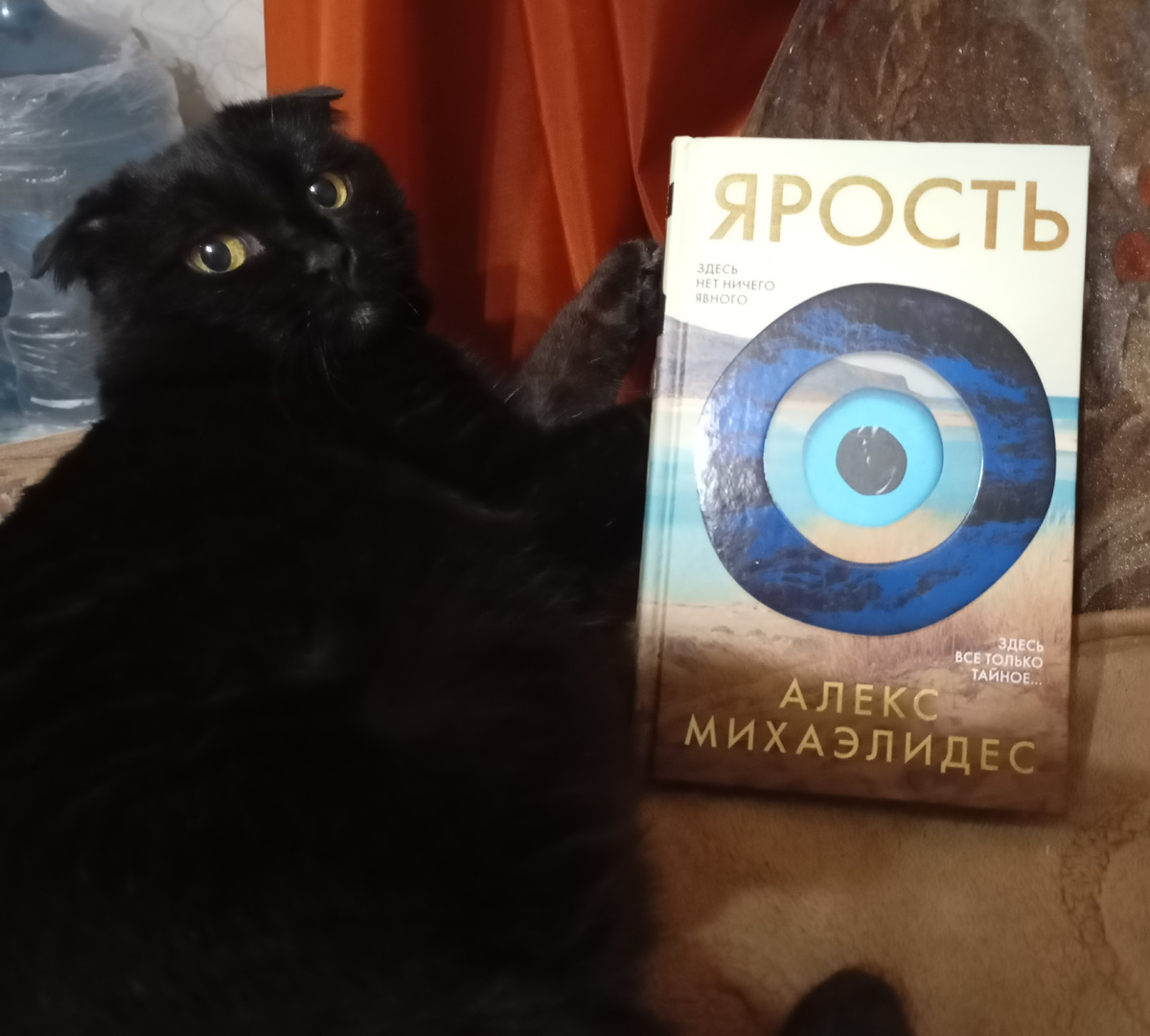 Фотография автора