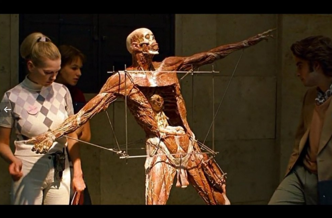 Анатомия   2000   Anatomie  16+