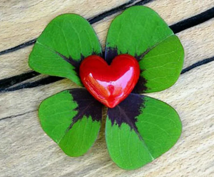 Фото из открытого источника