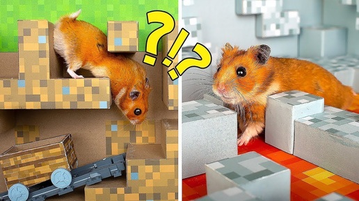 🐹❤️ Невероятный лабиринт Minecraft для хомяка!