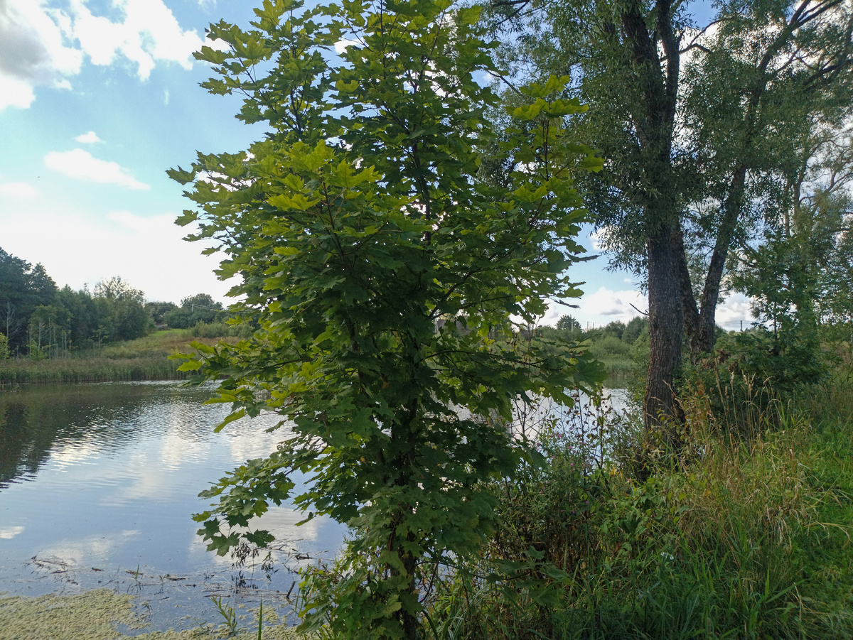 У реки Виром