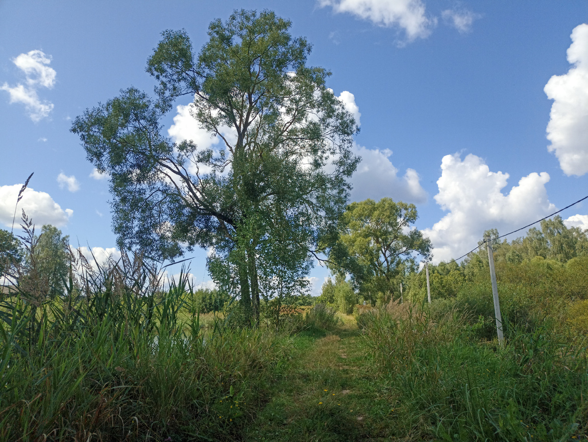 У реки Виром