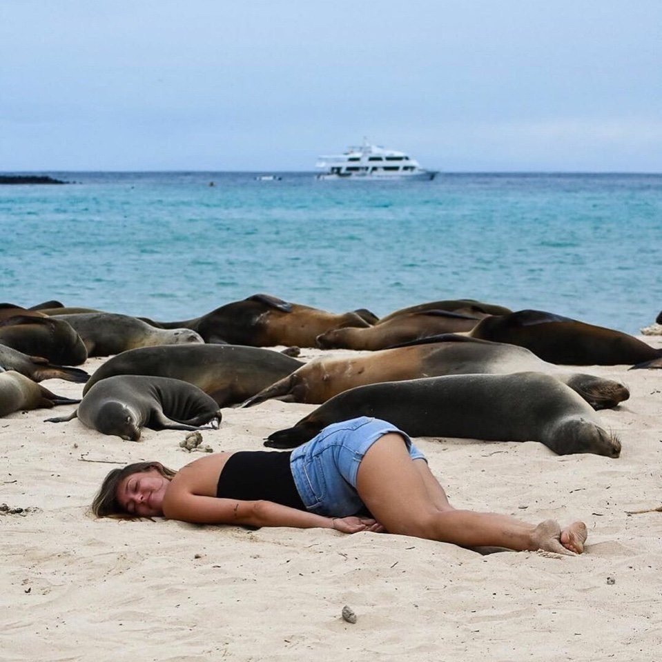 Рисунок из интернета.