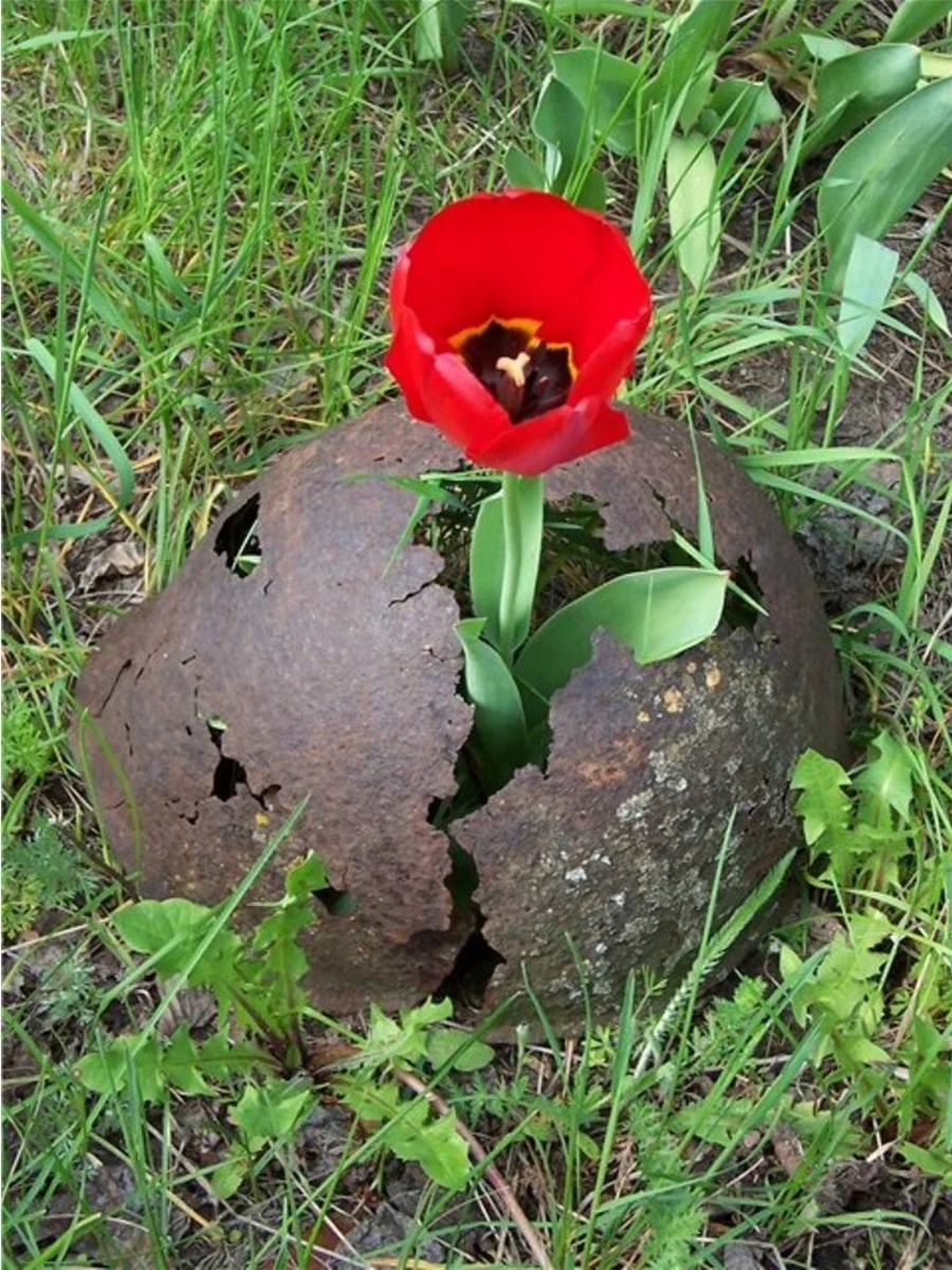 Изображение из открытых источников